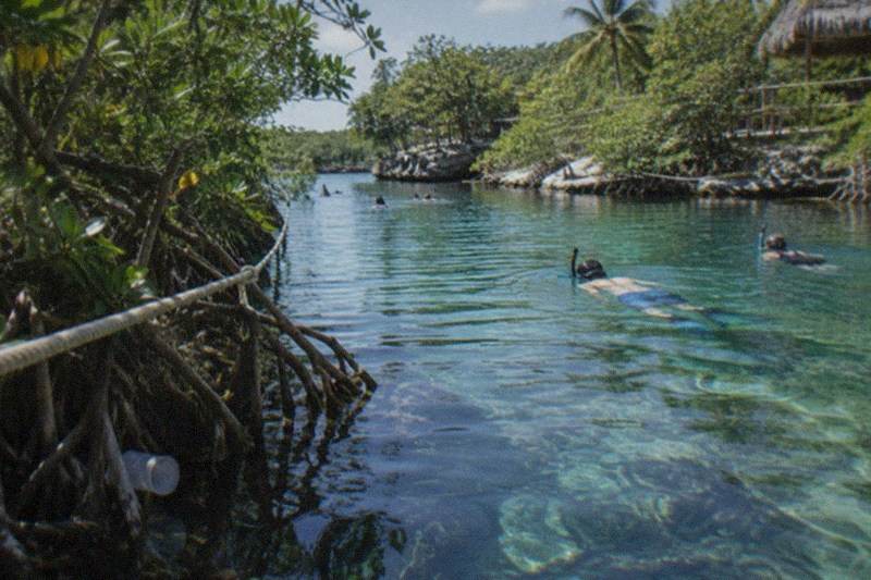 Cenote Plus Lagoon Snorkel, No Meal