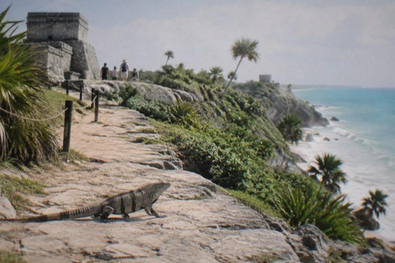 Ruins Plus Two Cenotes, Half-Day