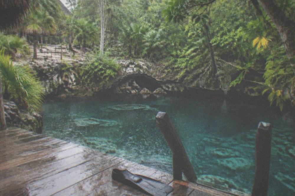 Open freshwater cenote surrounded by dense jungle with a wooden platform along the water edge