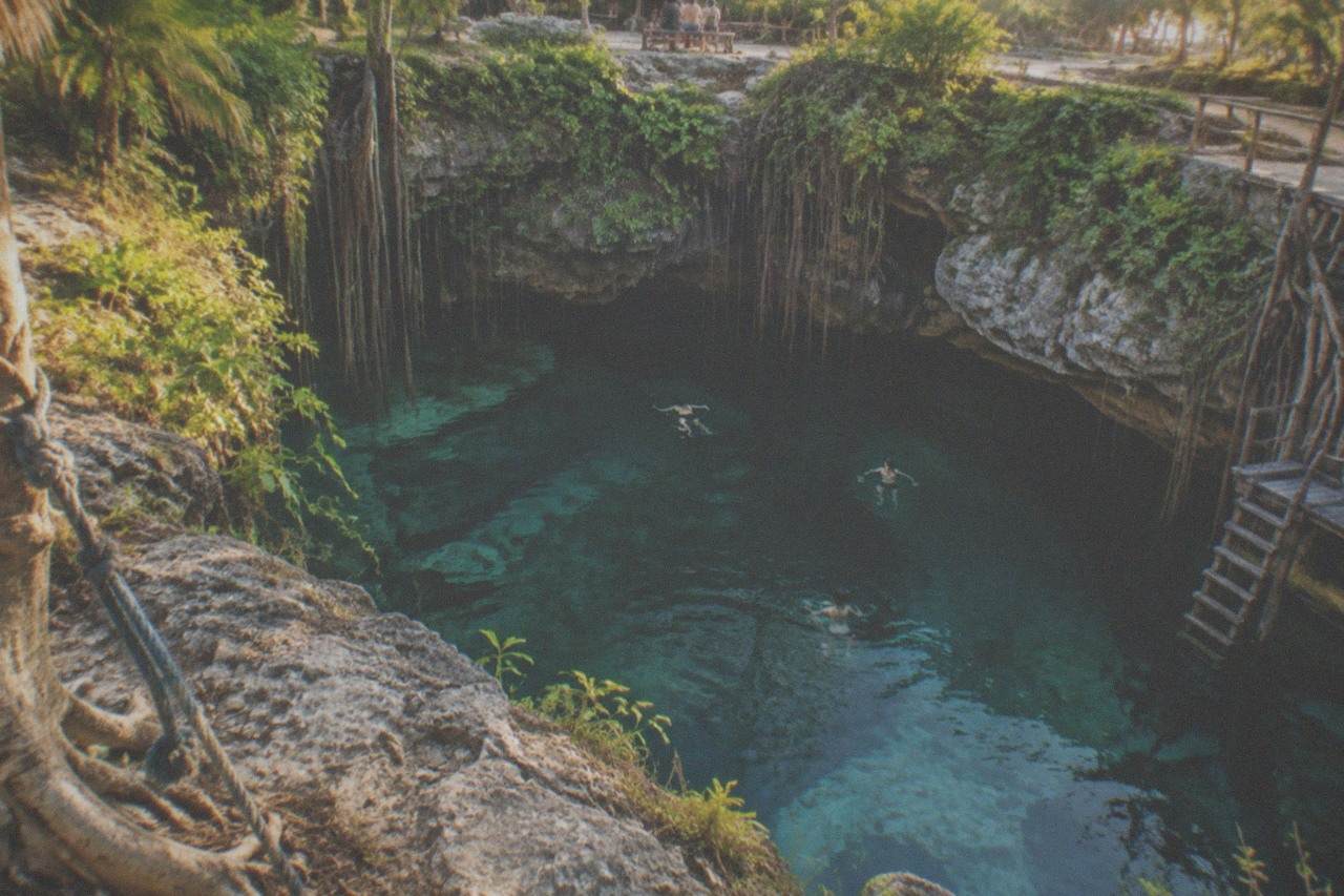 Clear turquoise water filling a limestone cenote basin with jungle plants and hanging roots along the rock walls