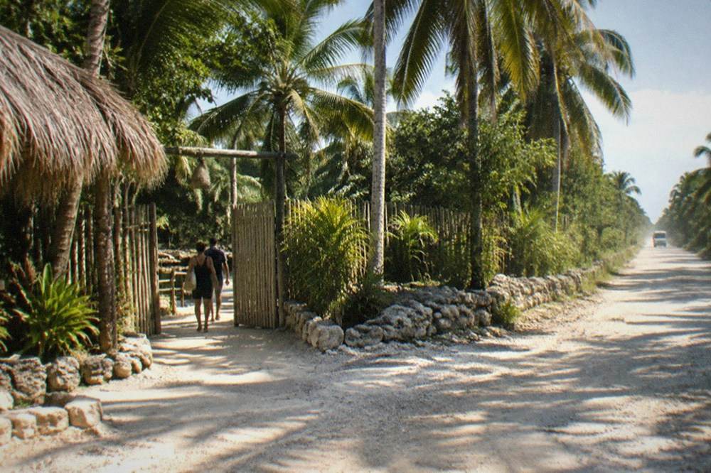 A parked bicycle leaning against a palm tree at the edge of a gravel road leading to a cenote entrance