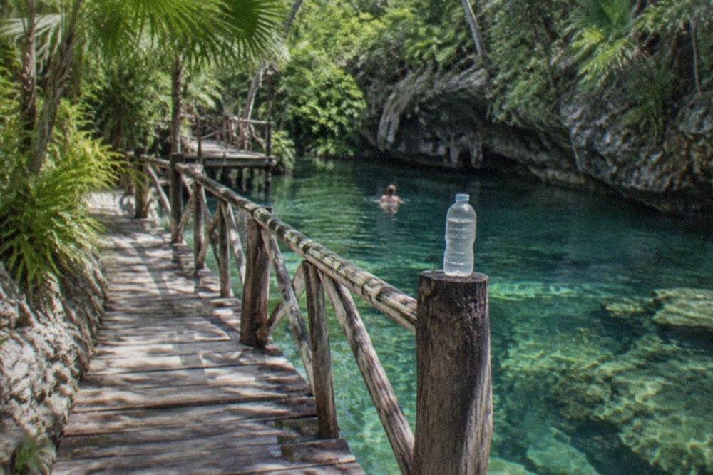 Wooden walkway leading over clear green cenote water through jungle