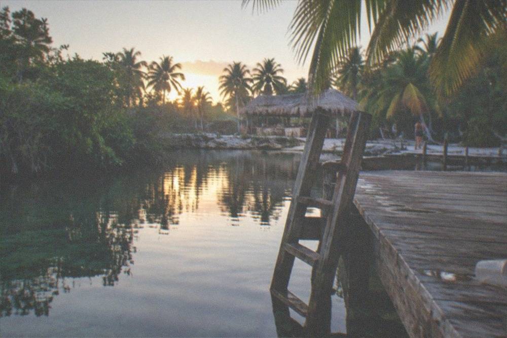 Wooden dock and ladder at a quiet cenote with overhanging jungle foliage reflected in still water
