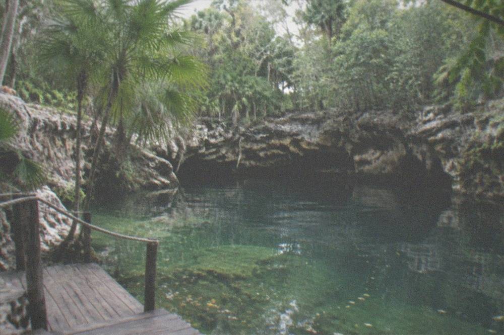A quiet limestone cenote pool surrounded by jungle canopy with a wooden entry platform and rope along the edge