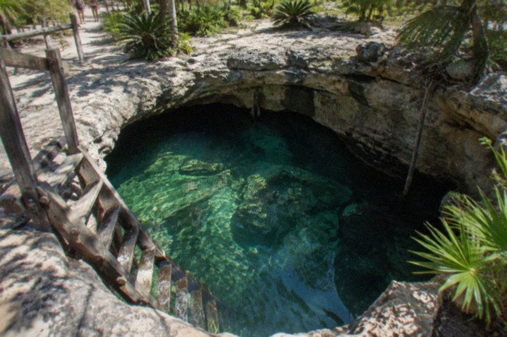 Rocky limestone steps leading down into clear green cenote water with a wooden ladder
