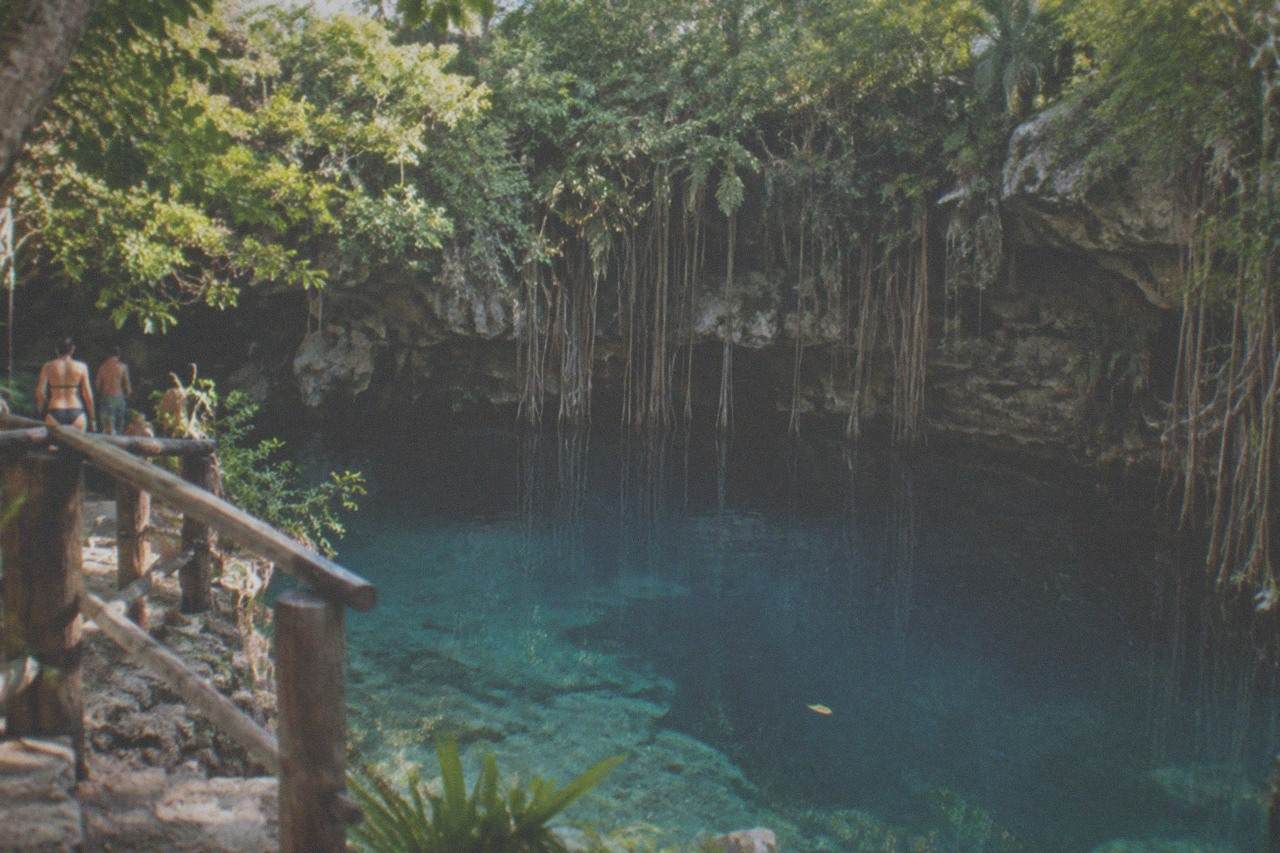 Turquoise water filling a limestone sinkhole ringed by jungle vegetation and hanging roots