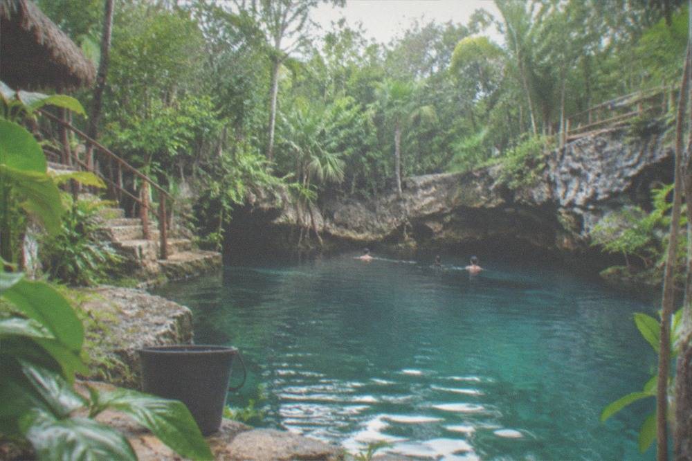 A calm open-air cenote pool ringed by rock walls and green jungle plants in soft morning light