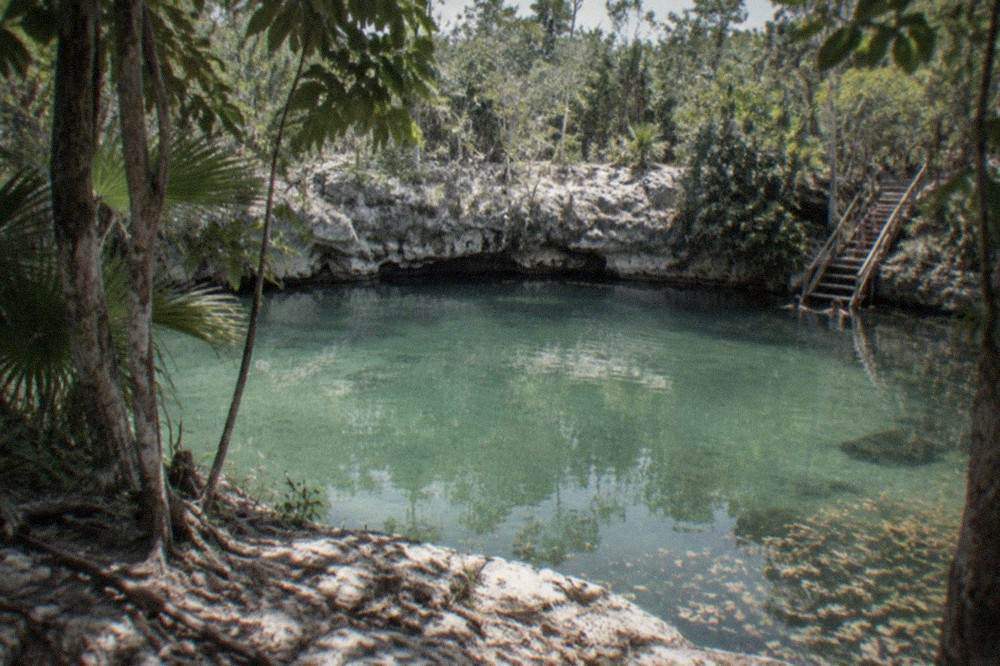 A tree-framed circular sinkhole with clear pale green water seen from the rocky rim at midday