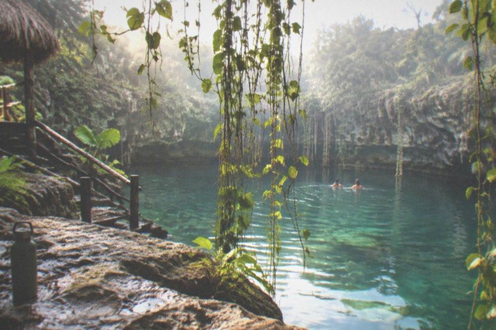 Green vines hanging over still jade water in a wide open cenote with misty morning air