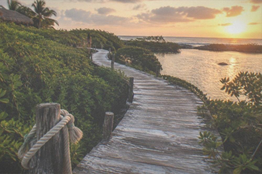 Wooden walkway leading through dense green mangroves toward open water