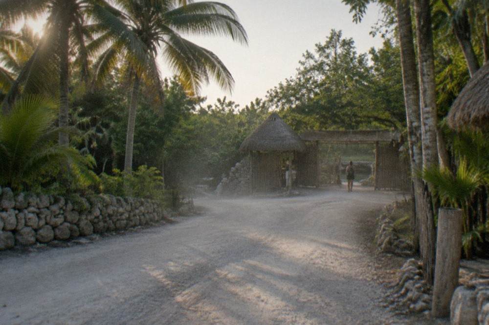 A quiet jungle road lined with palm trees leading toward a cenote entrance