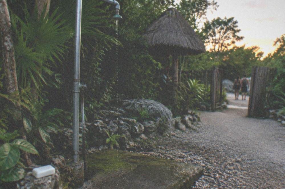 An outdoor freshwater rinse shower beside a jungle path at a cenote entrance