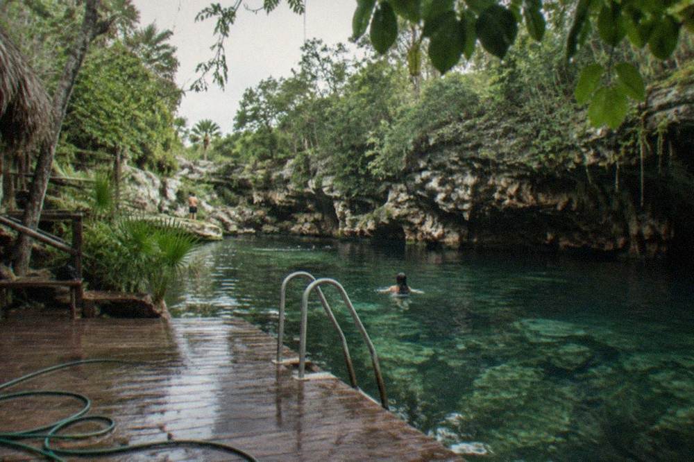 Wooden deck and ladder leading into a clear open cenote with overhanging jungle branches