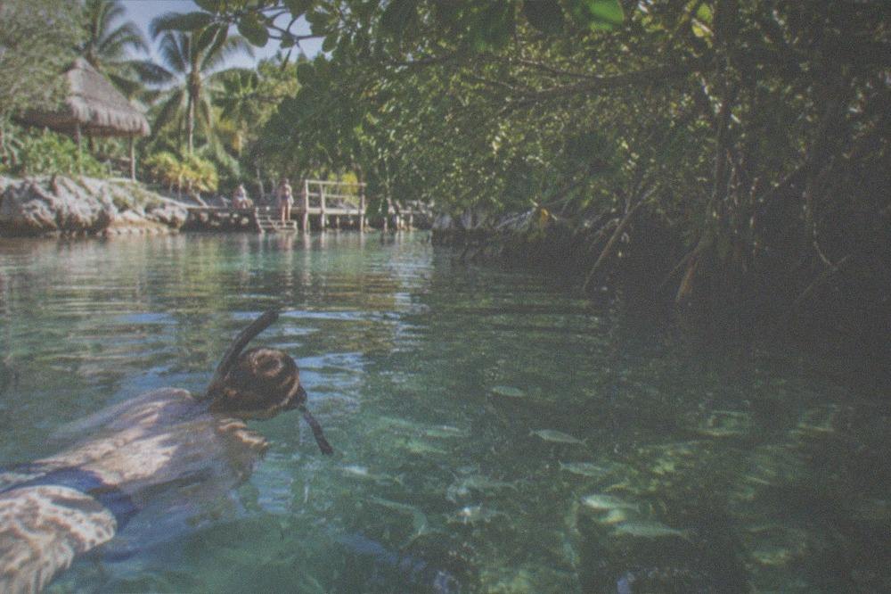 Snorkeler floating above fish in a clear green freshwater pool under overhanging trees