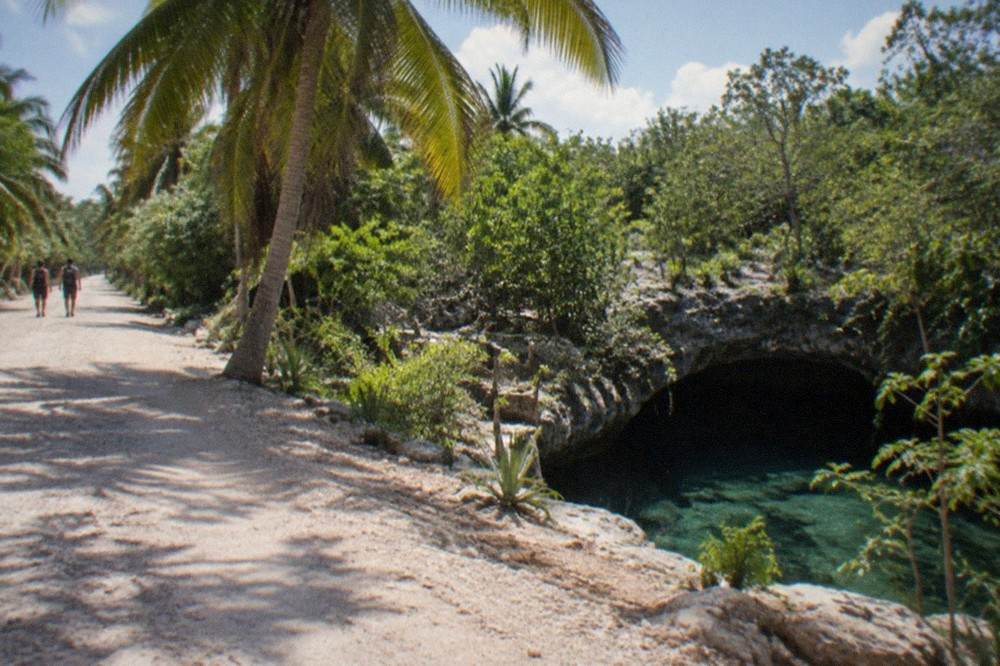 A jungle road with bicycles leaning against palms near a limestone sinkhole entrance