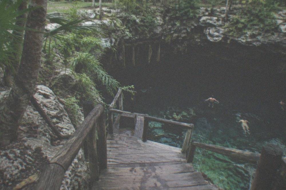 Wooden platform and steps leading down into a round open sinkhole ringed by rock and vines