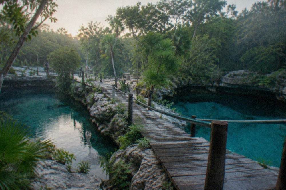 Two circular sinkhole openings in the jungle connected by a wooden walkway