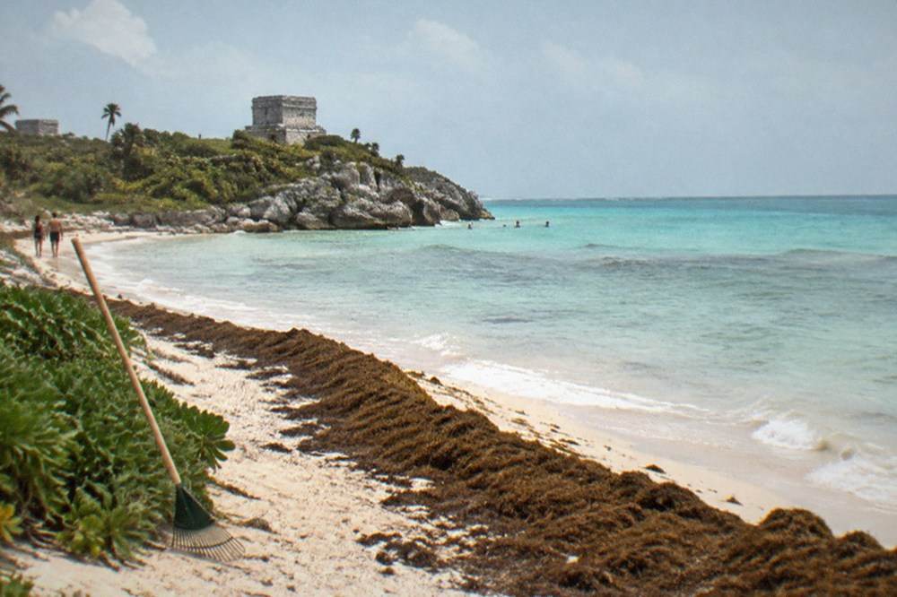 Wide sandy beach with clear turquoise shallows and low green scrub along the shoreline