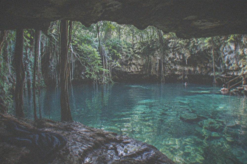 Clear blue-green water seen from inside a limestone cave opening with hanging roots