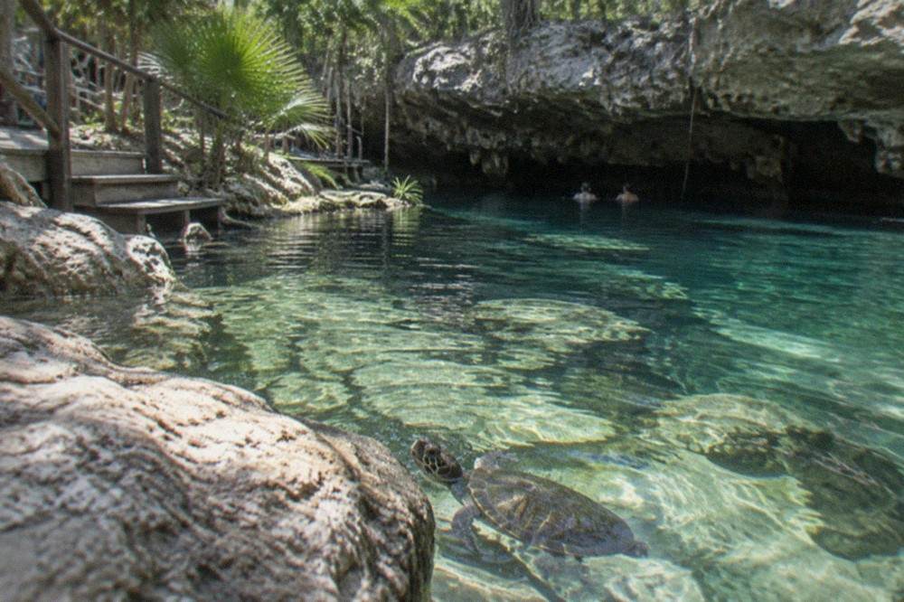 Limestone rock formations and clear shallow water inside a partly open cenote