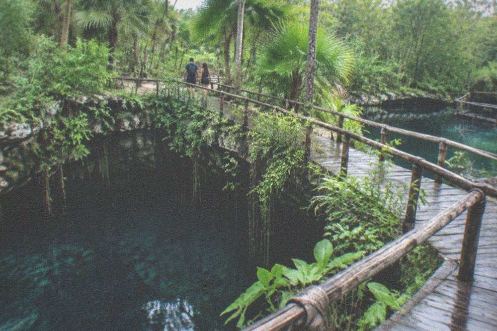 Two adjacent sinkhole openings surrounded by jungle vegetation and wooden walkways