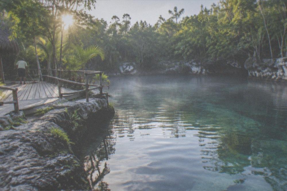 Morning light hitting the surface of a quiet open cenote before crowds arrive