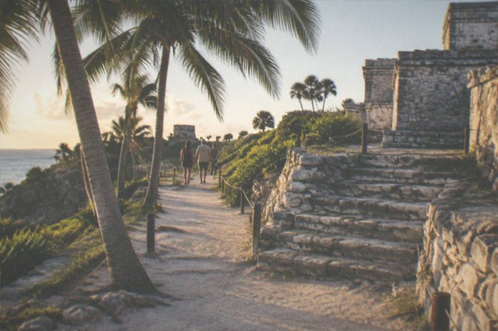 Stone steps and low wall structures of a Mayan archaeological site under palm trees